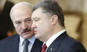 Україна та Білорусь домовилися про розширення співпраці в аграрній галузі