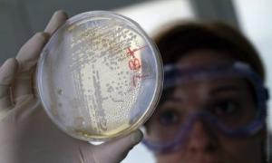 Учені виявили новий надпотужний антибіотик всередині людського організму
