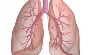 Учені знайшли новий метод збереження донорських легенів при пересадці
