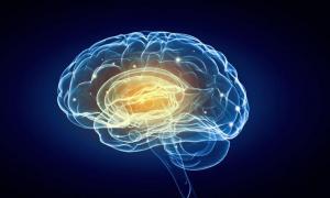 Вчені встановили, як у мозку людини створюються довгострокові спогади