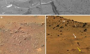 На Марсі виявили сліди життя