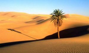 Учені: Сахара стала пустелею через похолодання

