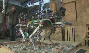 Італійські науковці розробляють роботів-рятувальників нового покоління