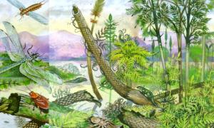 Знайдено останки одного з перших наземних видів на планеті
