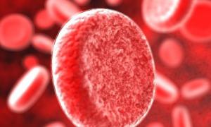 Учені виявили нові групи крові, які могли організуватись у результаті мутації