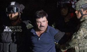 У Мексиці затримано племінника наркобарона Коротуна 