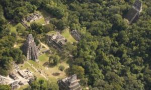 У джунглях Гватемали знайшли нові об’єкти майя