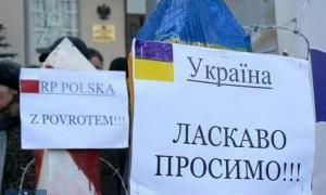 На польських підприємствах працюють від 10% до 60% українців
