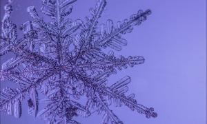 Американський фізик порахував кількість сніжинок у світі 