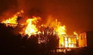 Жахлива пожежа в Чилі: щонайменше згоріло 100 будинків 