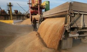 Україна експортувала понад 23 млн тонн зерна