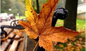 В Україні очікується похолодання і дощі
