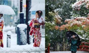 Японію засипало снігом