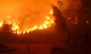 Лісовими пожежами у Чилі цілковито знищено містечко Санта-Ольга, що у центрі країни