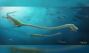 Палеонтологи знайшли останки вагітного "морського монстра"