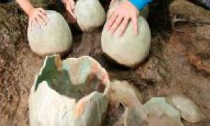 В Китаї затримали групу грабіжників, які викрали 80 яєць динозаврів