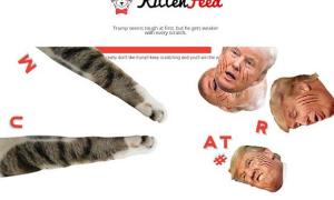 Американка створила сайт, на якому Трампа можна відшмагати котячими лапами (фото)