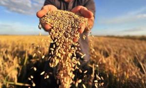 Україна готова до спільного виробництва готової харчової продукції з Білоруссю