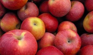 Росіяни вигадують схеми, аби поласувати польськими яблуками