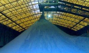 Шведські бабусі знайшли найбільше родовище золота в Європі