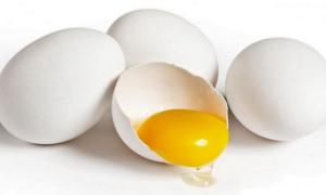 Яйця генетично модифікованих курей допоможуть боротися з раком