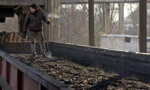 Міненерговугілля: Запасів вугілля вдосталь для тепла у кожній українській домівці