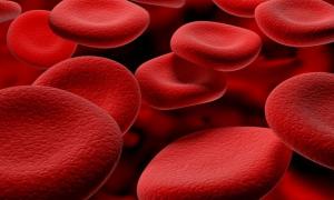 МОЗ: В Україні вперше на 100% будуть забезпечені лікуванням хворі на рак крові