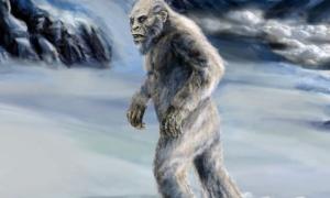 Вчені встановили, хто є предком Снігової людини