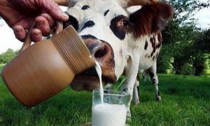 Закупівля молока в господарствах населення триватиме