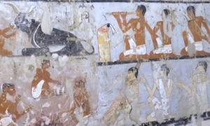 У Єгипті знайшли загублену гробницю з одомашненими мавпами