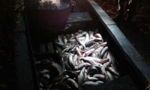 На Запоріжжі виявлено браконьєрів з уловом на півмільйона гривень