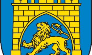 Понад 1200 неповносправних львів'ян забезпечили засобами технічної реабілітації