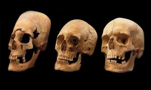 Вчені визначили походження витягнутих черепів
