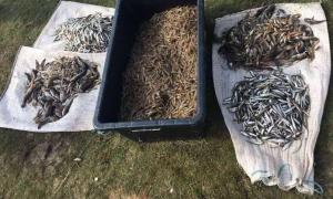 На Херсонщині прикордонники виявили браконьєра з уловом на 60 тисяч гривень