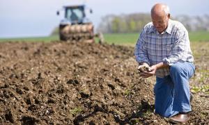 Уряд схвалив проект закону про передачу у власність українським фермерам 500 тис. га землі