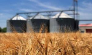 За 2 місяці року український аграрний експорт сягнув майже $3 млрд