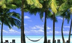 На тихоокеанському курорті застрелили 4 туристів