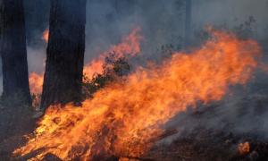 Влада Греції озвучила можливу причину великих пожеж у країні 