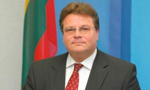 Голова МЗС Литви: Грузія і Україна найближчим часом не вступлять у НАТО

