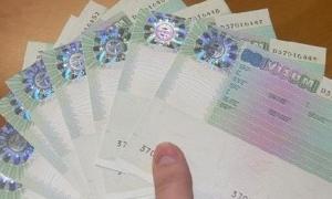 Українці зможуть отримати польську візу через інтернет
