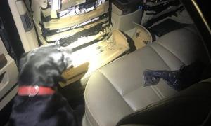 Службовий собака знайшов у сидіннях «BMW» сигарети