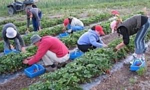 У Польщі суттєво зріс попит на українських робітників