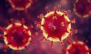 В Україні зафіксовано 794 випадки коронавірусної хвороби COVID-19