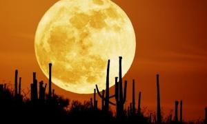 Сьогодні ввечері буде найяскравіший Місяць у році