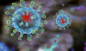 За добу 339 нових випадків захворювання на коронавірус