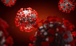 Новий тип коронавірусу, виявлений у Норвегії, легко передається на відстані