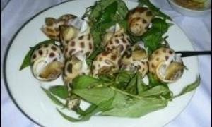 На Рівненщині почався сезон збору слимаків