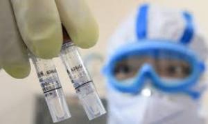 Дослідження: частина населення має імунітет проти коронавіруса