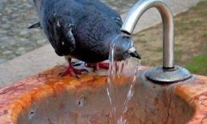 Спека відступить наприкінці тижня