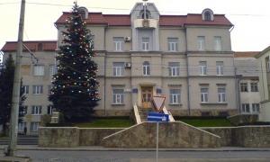 На екологію у Луцьку планують витратити 135 млн. грн.